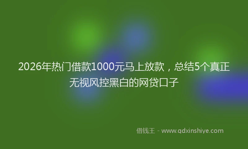 2026年热门借款1000元马上放款，总结5个真正无视风控黑白的网贷口子
