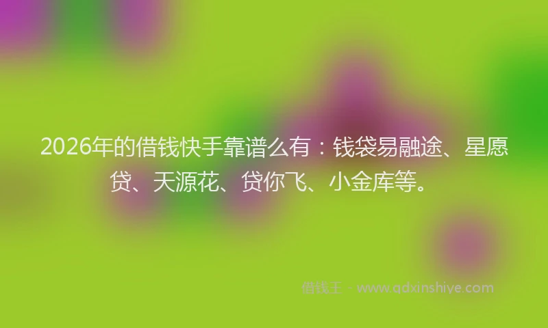 2026年的借钱快手靠谱么有：钱袋易融途、星愿贷、天源花、贷你飞、小金库等。