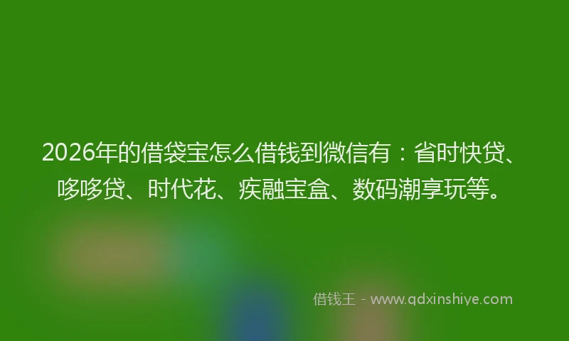 2026年的借袋宝怎么借钱到微信有：省时快贷、哆哆贷、时代花、疾融宝盒、数码潮享玩等。