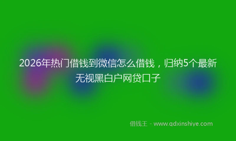 2026年热门借钱到微信怎么借钱，归纳5个最新无视黑白户网贷口子