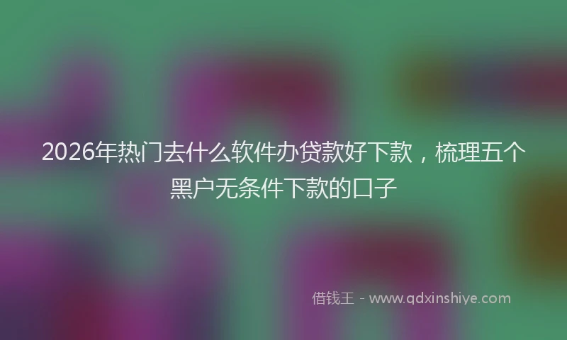2026年热门去什么软件办贷款好下款，梳理五个黑户无条件下款的口子