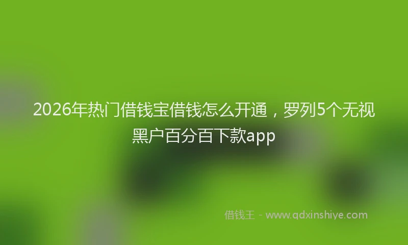 2026年热门借钱宝借钱怎么开通，罗列5个无视黑户百分百下款app