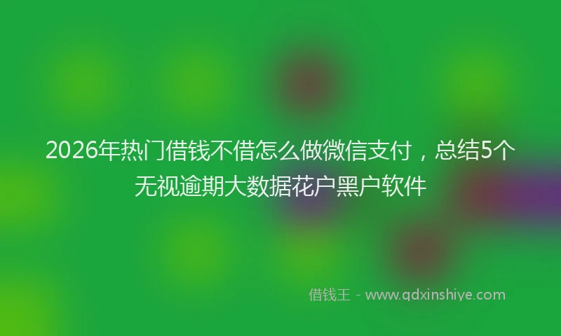 2026年热门借钱不借怎么做微信支付，总结5个无视逾期大数据花户黑户软件