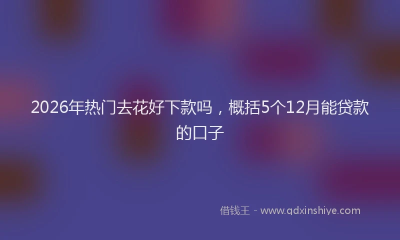 2026年热门去花好下款吗，概括5个12月能贷款的口子