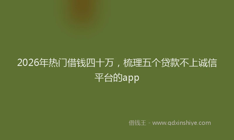 2026年热门借钱四十万，梳理五个贷款不上诚信平台的app