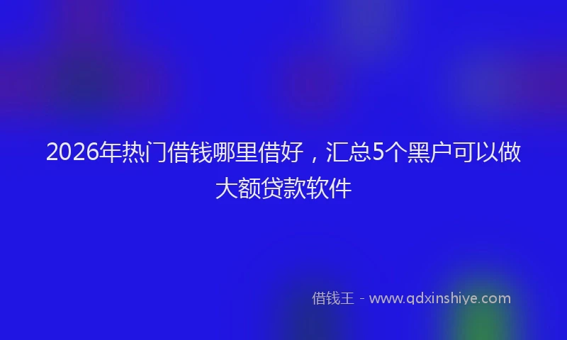 2026年热门借钱哪里借好，汇总5个黑户可以做大额贷款软件