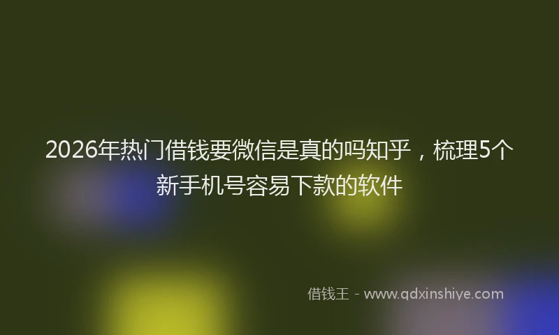 2026年热门借钱要微信是真的吗知乎，梳理5个新手机号容易下款的软件