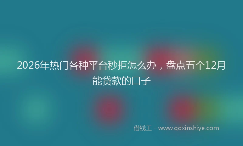 2026年热门各种平台秒拒怎么办，盘点五个12月能贷款的口子