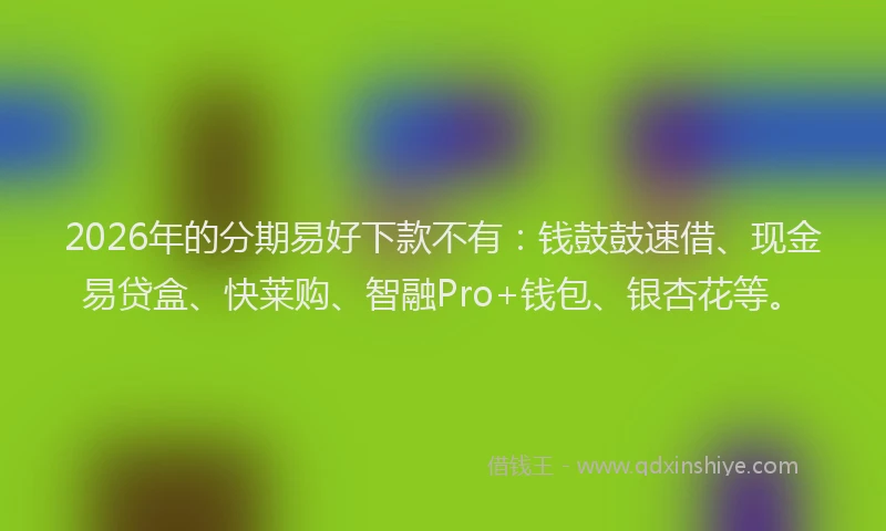 2026年的分期易好下款不有：钱鼓鼓速借、现金易贷盒、快莱购、智融Pro+钱包、银杏花等。