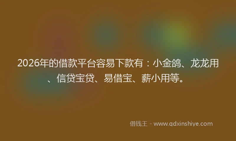 2026年的借款平台容易下款有：小金鸽、龙龙用、信贷宝贷、易借宝、薪小用等。