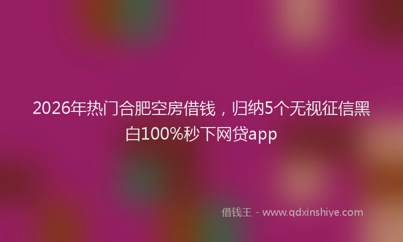 2026年热门合肥空房借钱，归纳5个无视征信黑白100%秒下网贷app