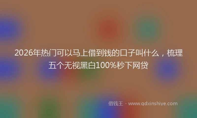 2026年热门可以马上借到钱的口子叫什么，梳理五个无视黑白100%秒下网贷