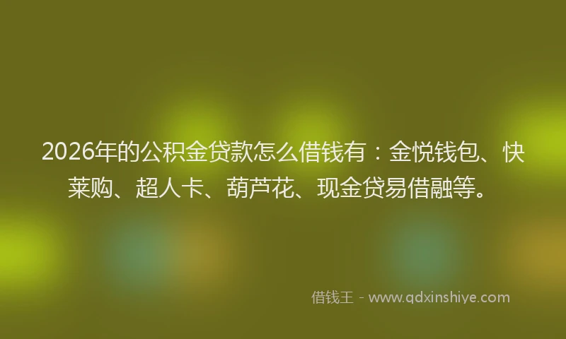 2026年的公积金贷款怎么借钱有：金悦钱包、快莱购、超人卡、葫芦花、现金贷易借融等。