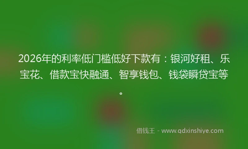 2026年的利率低门槛低好下款有：银河好租、乐宝花、借款宝快融通、智享钱包、钱袋瞬贷宝等。