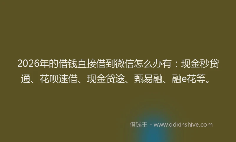 2026年的借钱直接借到微信怎么办有：现金秒贷通、花呗速借、现金贷途、甄易融、融e花等。