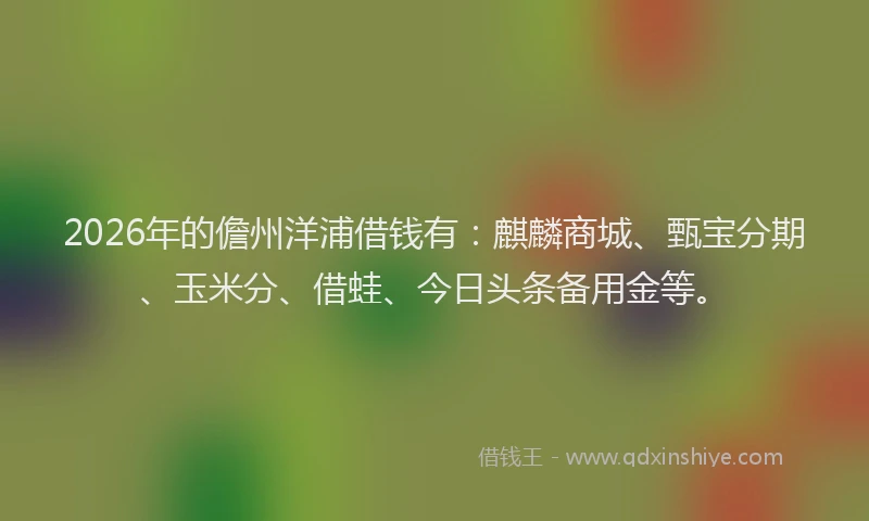2026年的儋州洋浦借钱有：麒麟商城、甄宝分期、玉米分、借蛙、今日头条备用金等。