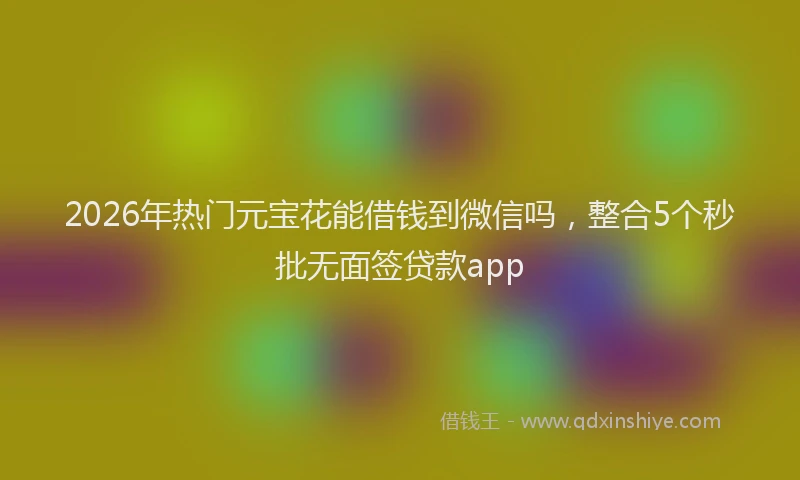 2026年热门元宝花能借钱到微信吗，整合5个秒批无面签贷款app