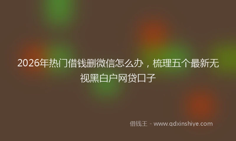 2026年热门借钱删微信怎么办，梳理五个最新无视黑白户网贷口子