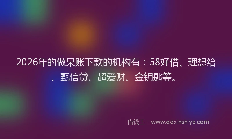 2026年的做呆账下款的机构有：58好借、理想给、甄信贷、超爱财、金钥匙等。