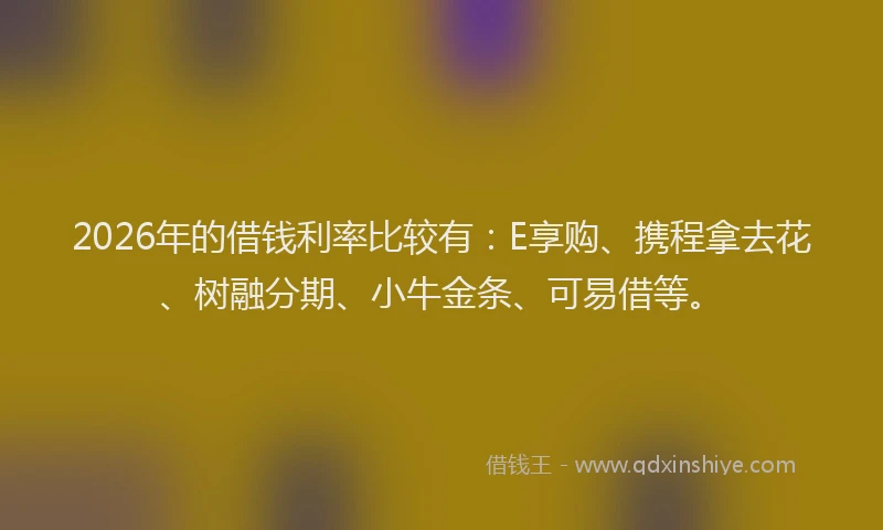 2026年的借钱利率比较有：E享购、携程拿去花、树融分期、小牛金条、可易借等。