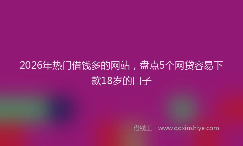 2026年热门借钱多的网站，盘点5个网贷容易下款18岁的口子