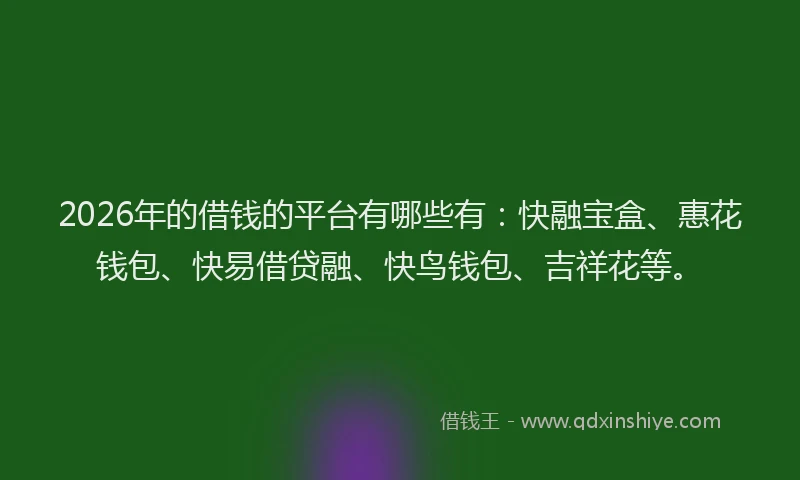 2026年的借钱的平台有哪些有：快融宝盒、惠花钱包、快易借贷融、快鸟钱包、吉祥花等。