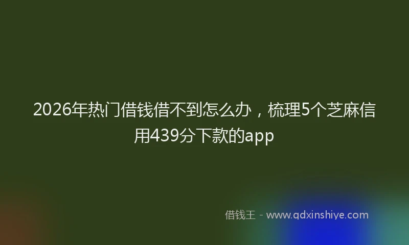 2026年热门借钱借不到怎么办，梳理5个芝麻信用439分下款的app