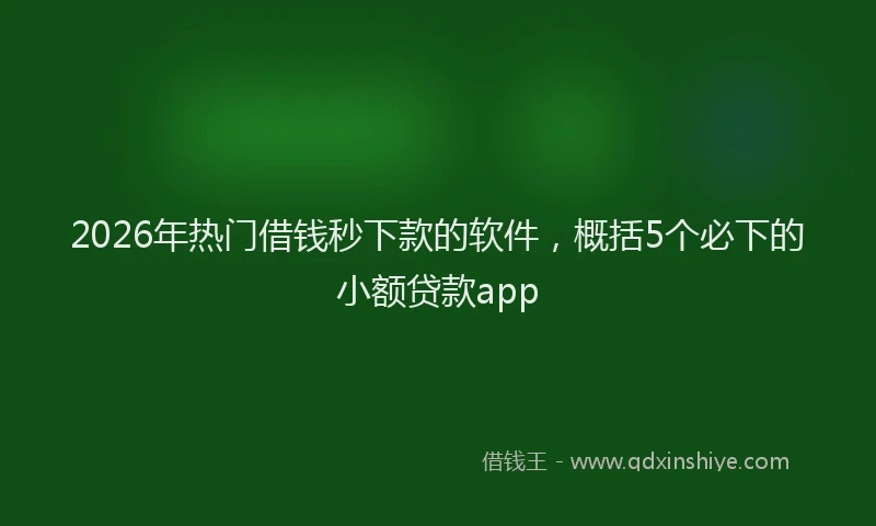 2026年热门借钱秒下款的软件，概括5个必下的小额贷款app