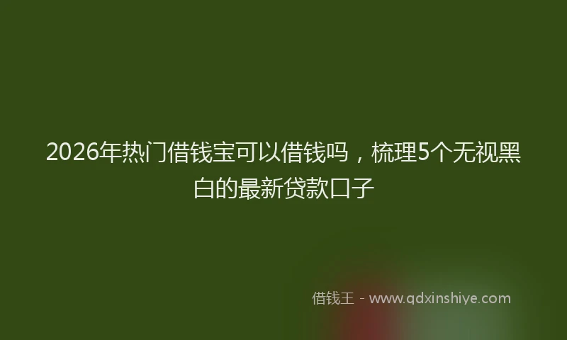 2026年热门借钱宝可以借钱吗，梳理5个无视黑白的最新贷款口子