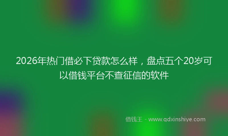 2026年热门借必下贷款怎么样，盘点五个20岁可以借钱平台不查征信的软件