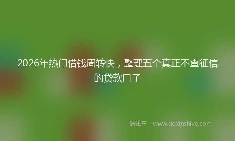 2026年热门借钱周转快，整理五个真正不查征信的贷款口子