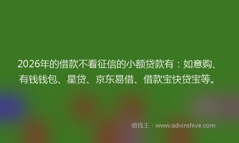 2026年的借款不看征信的小额贷款有：如意购、有钱钱包、星贷、京东易借、借款宝快贷宝等。