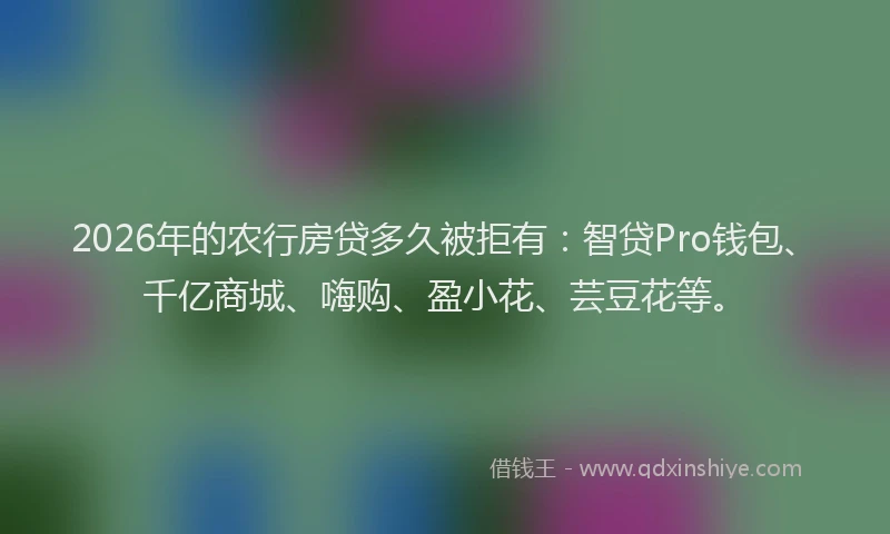 2026年的农行房贷多久被拒有：智贷Pro钱包、千亿商城、嗨购、盈小花、芸豆花等。