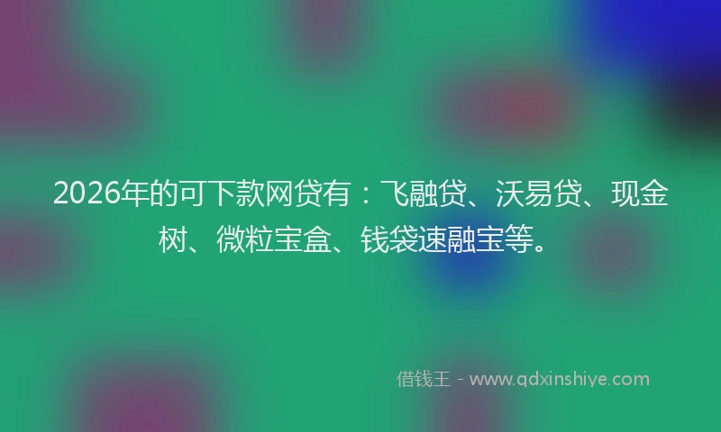 2026年的可下款网贷有：飞融贷、沃易贷、现金树、微粒宝盒、钱袋速融宝等。