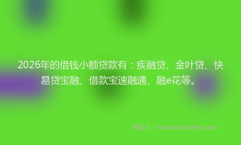 2026年的借钱小额贷款有：疾融贷、金叶贷、快易贷宝融、借款宝速融通、融e花等。