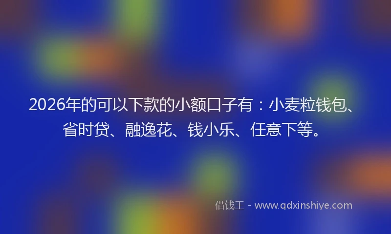 2026年的可以下款的小额口子有：小麦粒钱包、省时贷、融逸花、钱小乐、任意下等。