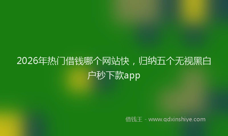 2026年热门借钱哪个网站快，归纳五个无视黑白户秒下款app