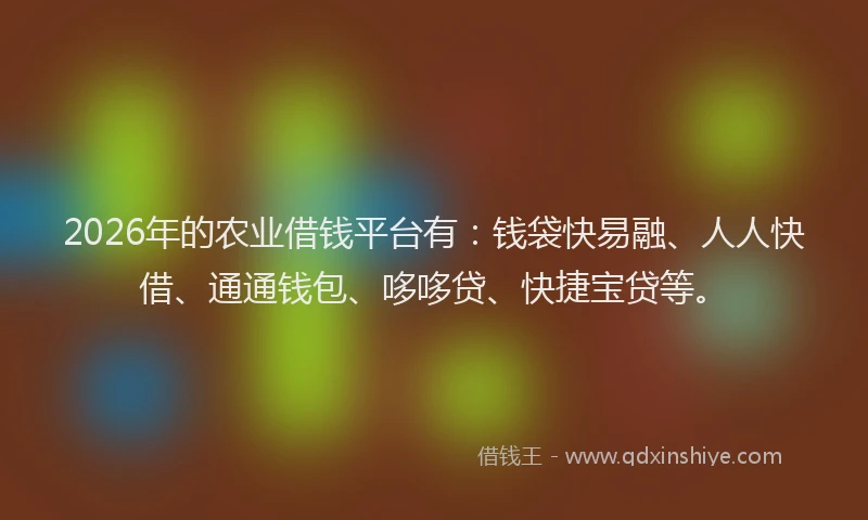 2026年的农业借钱平台有：钱袋快易融、人人快借、通通钱包、哆哆贷、快捷宝贷等。