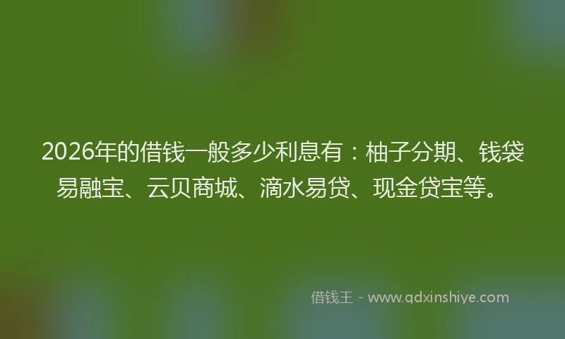 2026年的借钱一般多少利息有：柚子分期、钱袋易融宝、云贝商城、滴水易贷、现金贷宝等。