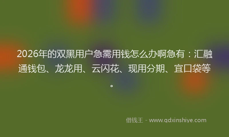2026年的双黑用户急需用钱怎么办啊急有：汇融通钱包、龙龙用、云闪花、现用分期、宜口袋等。