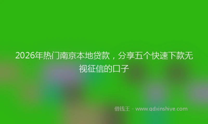 2026年热门南京本地贷款，分享五个快速下款无视征信的口子