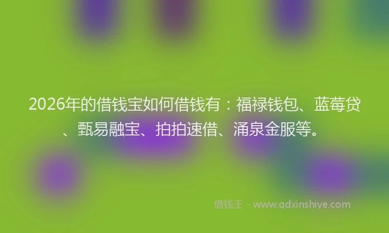 2026年的借钱宝如何借钱有：福禄钱包、蓝莓贷、甄易融宝、拍拍速借、涌泉金服等。