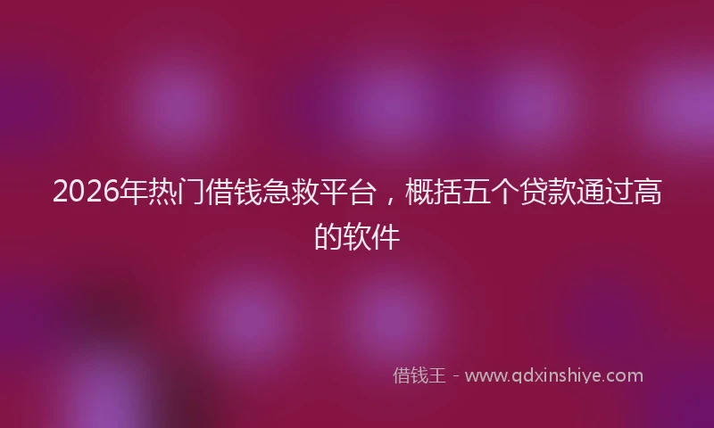 2026年热门借钱急救平台，概括五个贷款通过高的软件