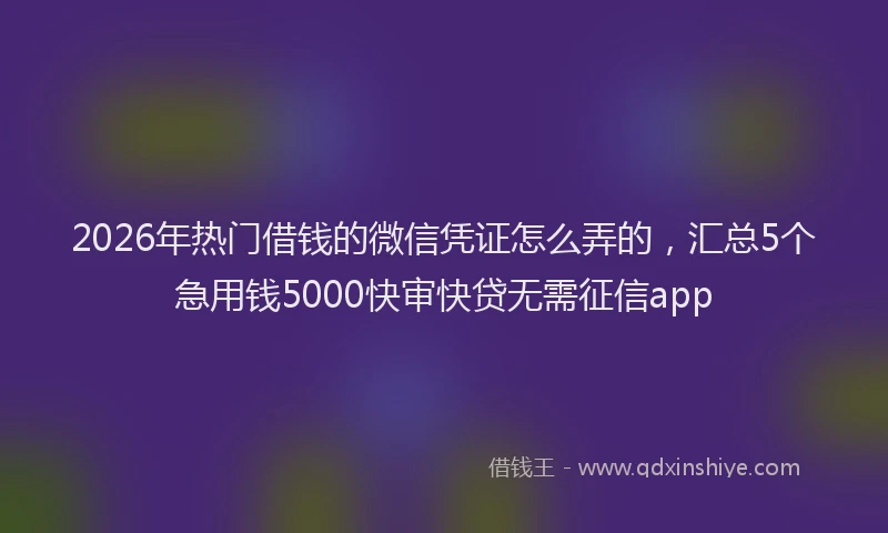 2026年热门借钱的微信凭证怎么弄的，汇总5个急用钱5000快审快贷无需征信app