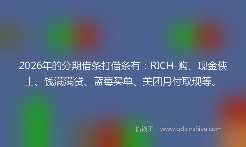2026年的分期借条打借条有：RICH-购、现金侠士、钱满满贷、蓝莓买单、美团月付取现等。