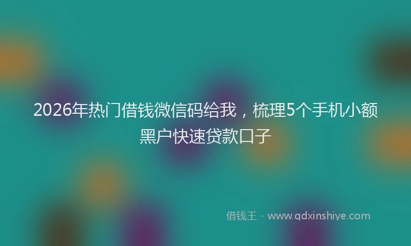 2026年热门借钱微信码给我，梳理5个手机小额黑户快速贷款口子