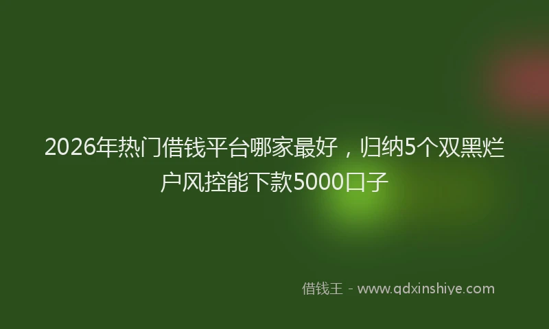 2026年热门借钱平台哪家最好，归纳5个双黑烂户风控能下款5000口子