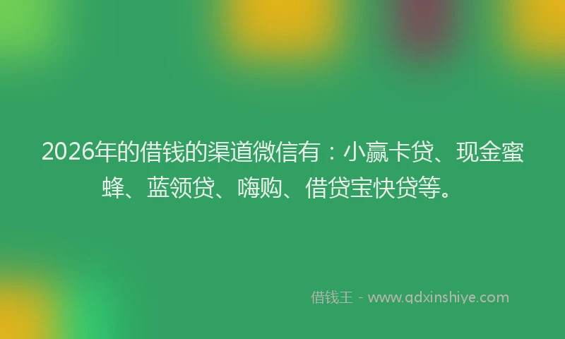2026年的借钱的渠道微信有：小赢卡贷、现金蜜蜂、蓝领贷、嗨购、借贷宝快贷等。