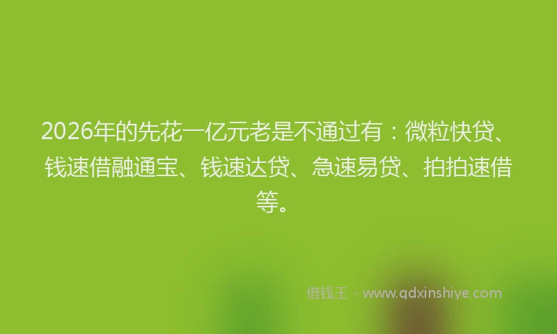 2026年的先花一亿元老是不通过有：微粒快贷、钱速借融通宝、钱速达贷、急速易贷、拍拍速借等。