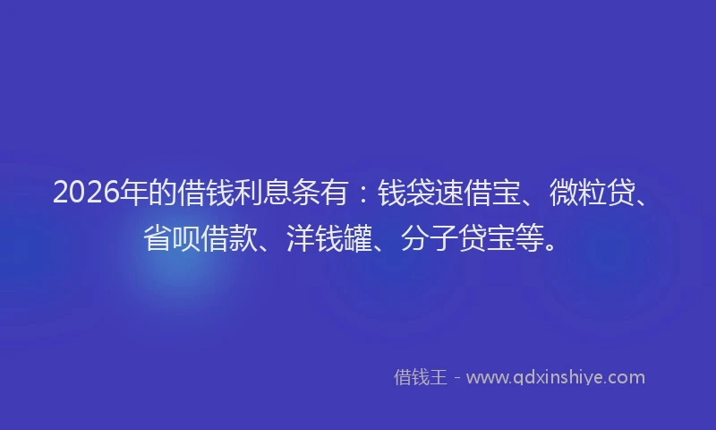 2026年的借钱利息条有：钱袋速借宝、微粒贷、省呗借款、洋钱罐、分子贷宝等。